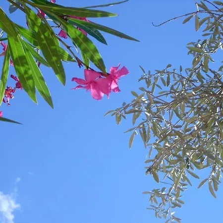 Beautiful 2 Near The