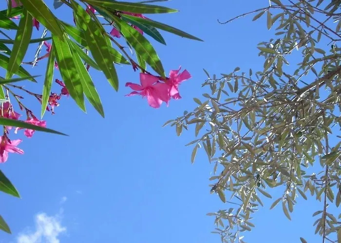 Beautiful 2 Near The